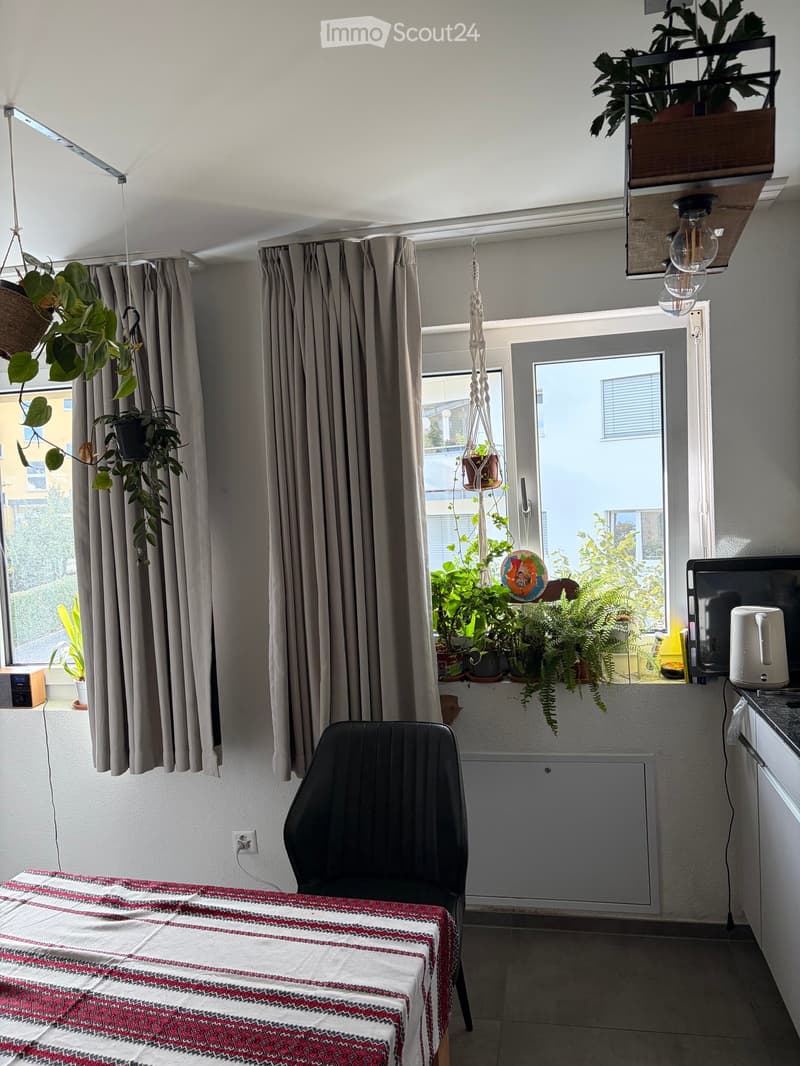 A cozy, well-lit room with a table, chair, radiator, kitchen counter, and various plants. The room features large windows with curtains and a balcony door leading to a small outdoor area with more plants.