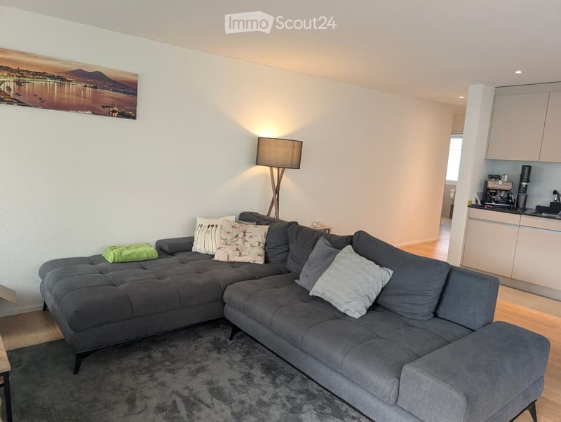 Modern living room with a grey sectional sofa, decorative pillows, a floor lamp, a coffee table, and a small kitchen area with cabinets and a coffee machine.