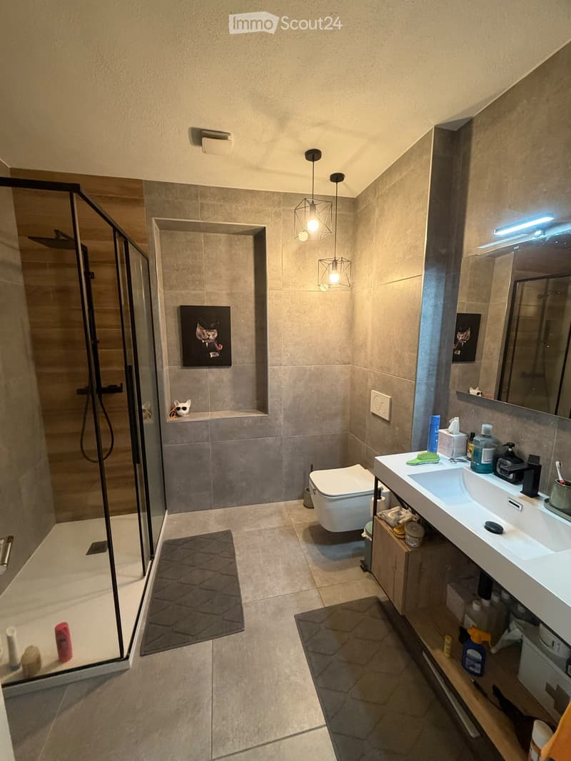 Modern bathroom with a white sink, toilet, and glass-enclosed shower. Features include a large mirror, pendant lights, and decorative picture frames.