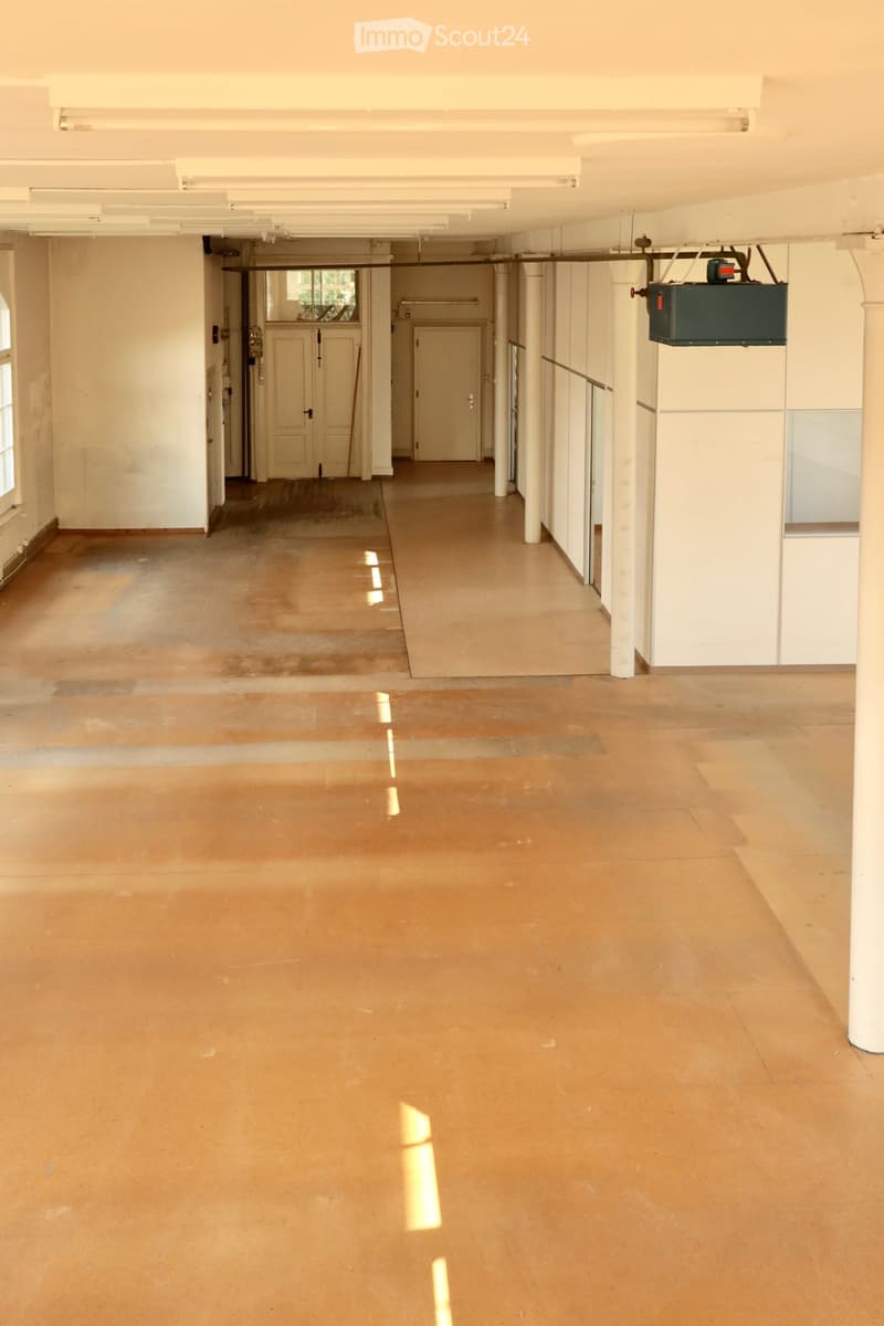 Empty hallway with polished concrete floors, white walls, and several doors leading to adjacent rooms. Natural light streams in from windows on the left side.