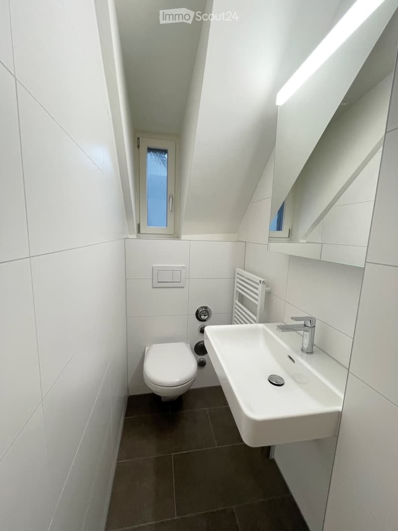 Modern, compact bathroom with white tiles, a toilet, a sink with a modern faucet, a radiator, and a large mirror above the sink. The room features a skylight window and sleek, contemporary design.