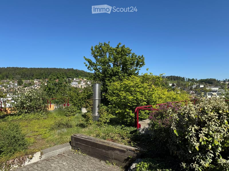 Garden / Outdoor Area. A lush rooftop garden with various plants, trees, and a wooden bench, offering a scenic view of a town and surrounding hills.