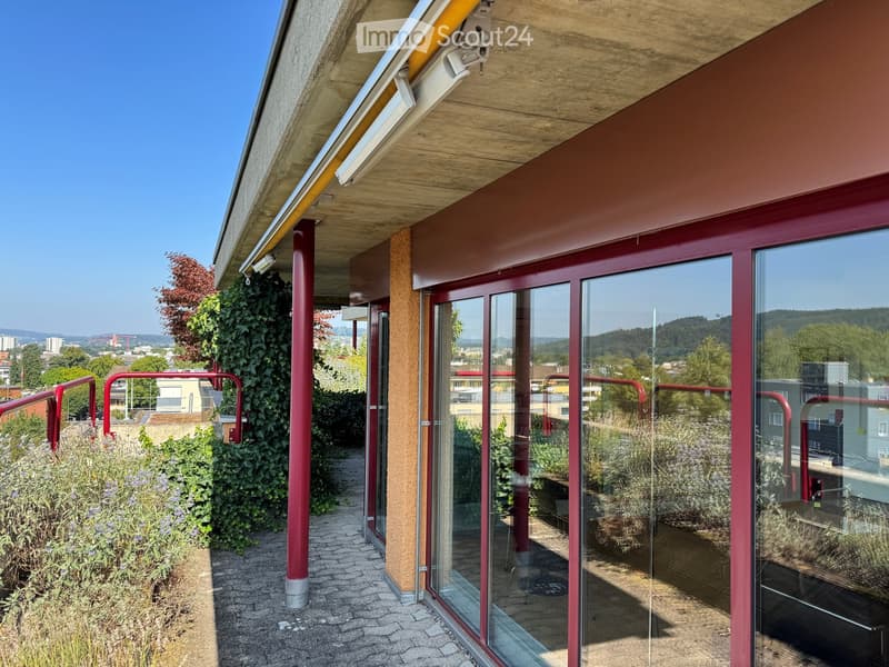 Balcony / Terrace. Balcony with glass railings, red metal supports, and a view of the city and surrounding greenery.