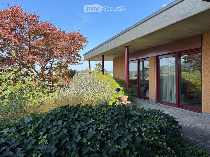 Garden / Outdoor Area. Modern house exterior with a raised ground floor, large windows, and a well-maintained garden featuring shrubs, trees, and a stone pathway.