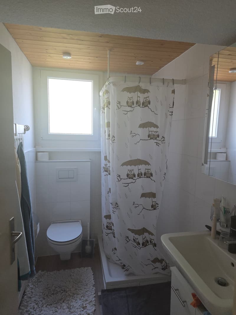 Bathroom with a toilet, sink, shower curtain featuring owls and umbrellas, towel, mirror, and light fixtures.