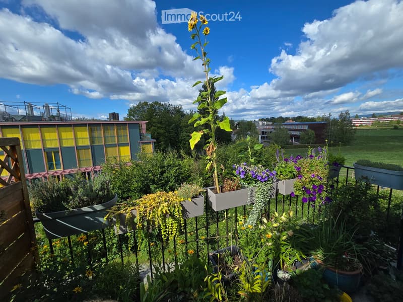 A lush garden area with various potted plants, flowers, and a tall sunflower plant, surrounded by a metal fence and overlooking a scenic landscape with buildings and trees in the background.