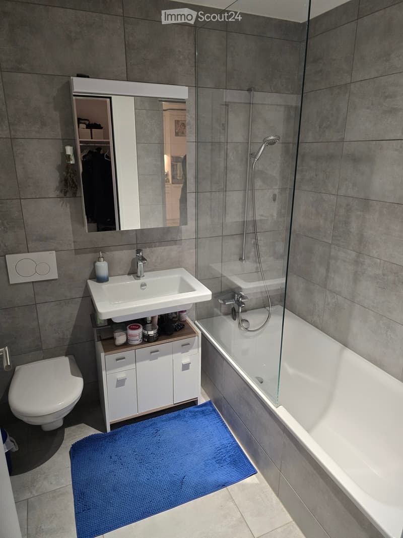 Modern bathroom with a white sink, toilet, bathtub with glass enclosure, and a large mirror above the sink. The floor has a blue bath mat, and the walls are tiled in gray.