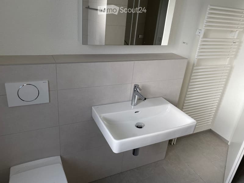 Modern bathroom with a white sink, chrome faucet, large mirror, and radiator.
