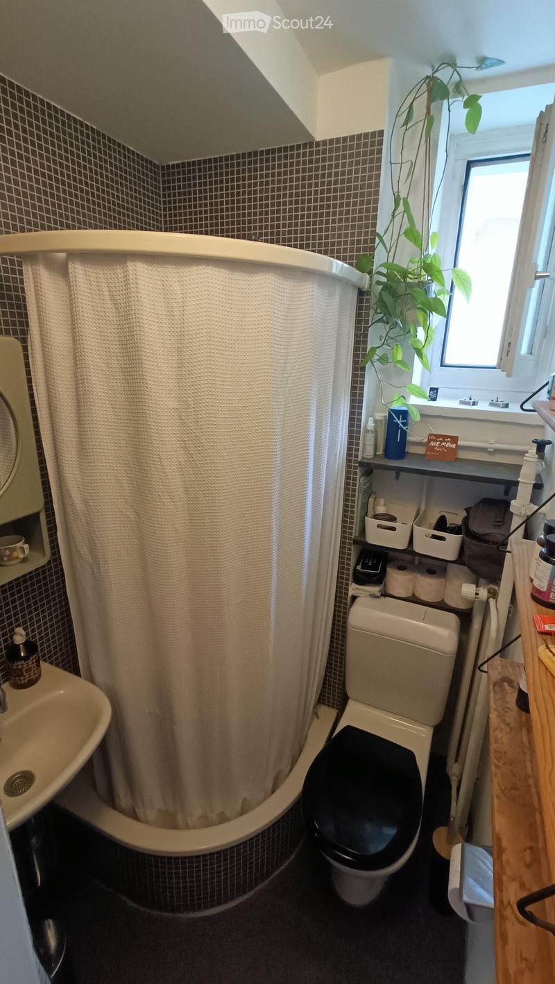 Compact bathroom with a toilet, sink, and shower area. Features a shower curtain, toilet paper holder, and a small plant on the windowsill.