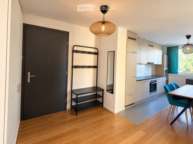 Modern open-plan living and dining area with a kitchen, featuring a wooden floor, white kitchen cabinets, a dining table with blue chairs, and a coat rack near the entrance.