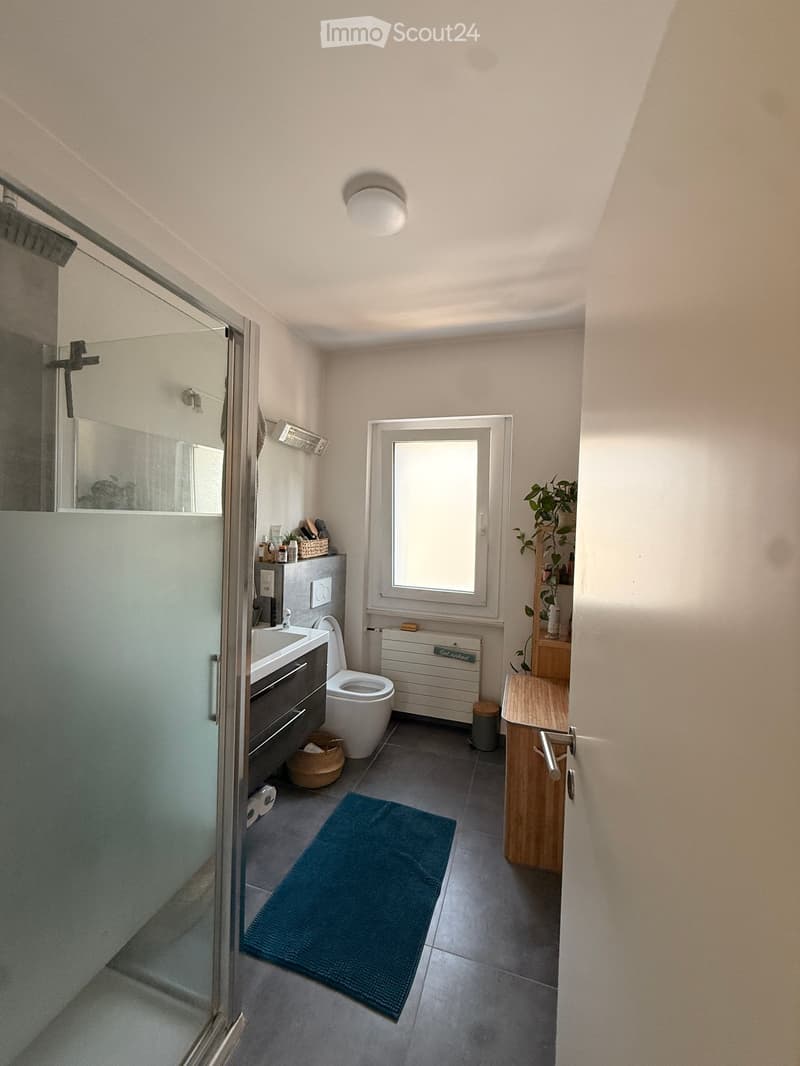 Modern bathroom with a glass-enclosed shower, sink, toilet, and a small wooden cabinet. Features a blue bath mat, a plant, and a window providing natural light.