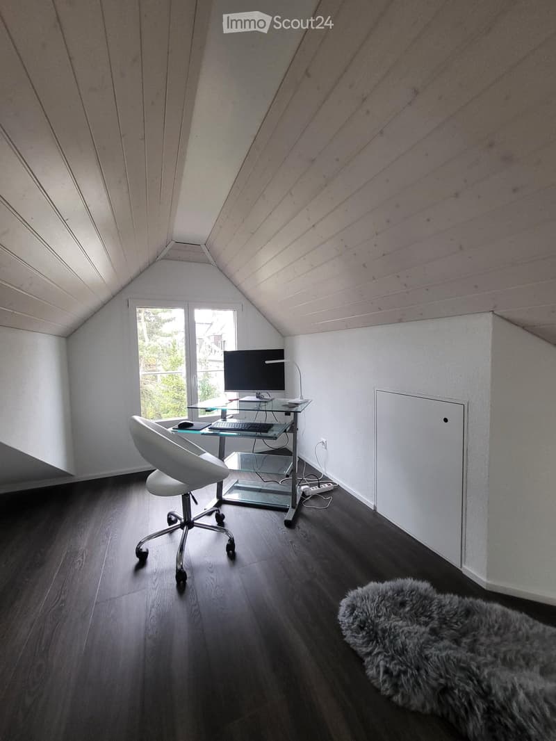 Spezielle 4,5-Maisonette-Dachwohung in Zürich Kreis 6 (7)