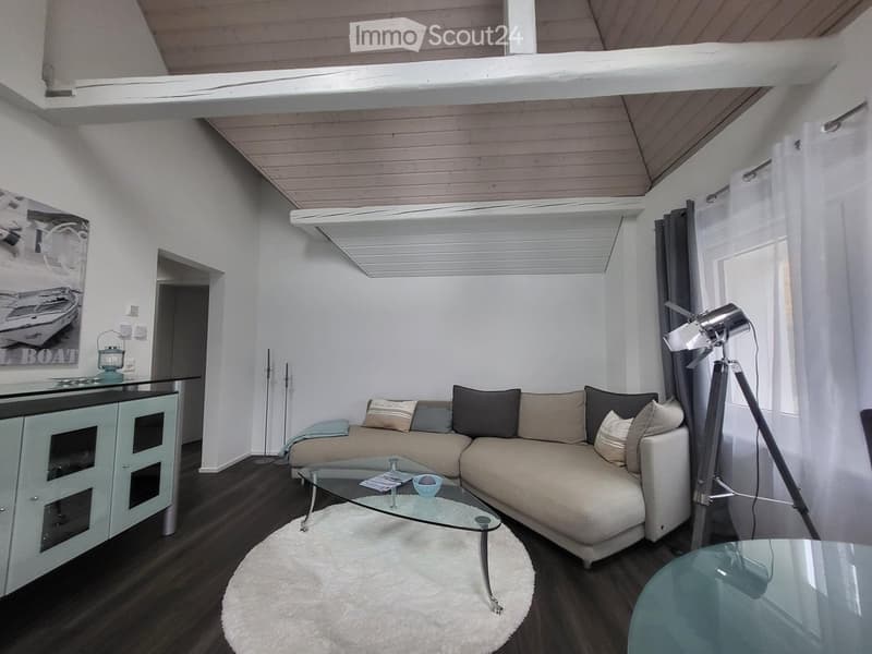 Spezielle 4,5-Maisonette-Dachwohung in Zürich Kreis 6 (3)