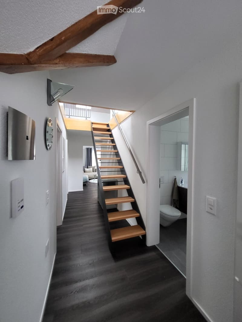 Spezielle 4,5-Maisonette-Dachwohung in Zürich Kreis 6 (6)