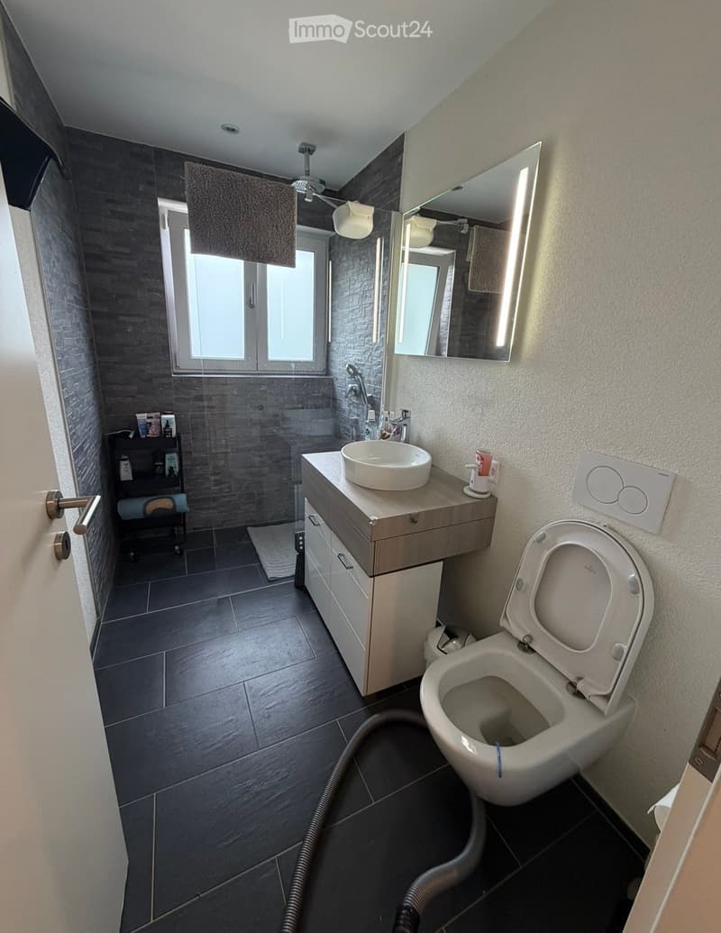 Modern bathroom with dark tiled walls and floor, white sink, toilet, large mirror, and built-in cabinet.