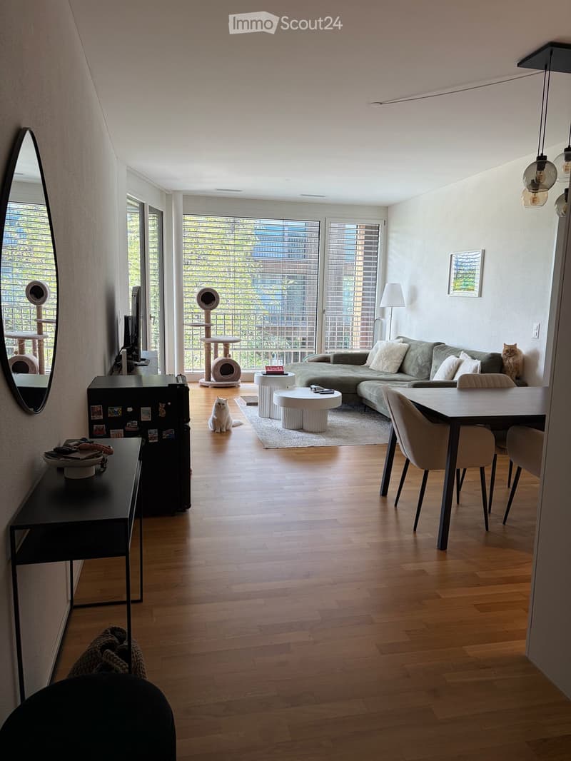 3.5 Zimmer Wohnung in Cham (4)