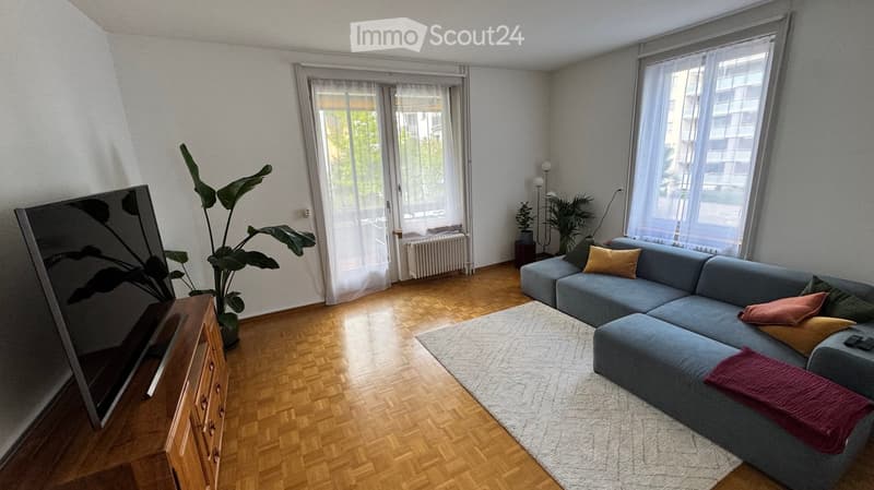 Modern living room with a grey sectional sofa, colorful pillows, a large flat-screen TV, a wooden cabinet, and a potted plant near the window.