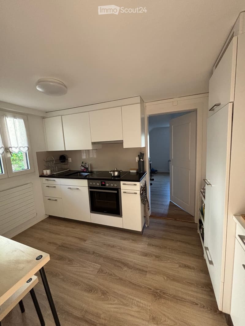 Modern kitchen with white cabinets, wooden flooring, and a black countertop featuring an oven, sink, and various small appliances.