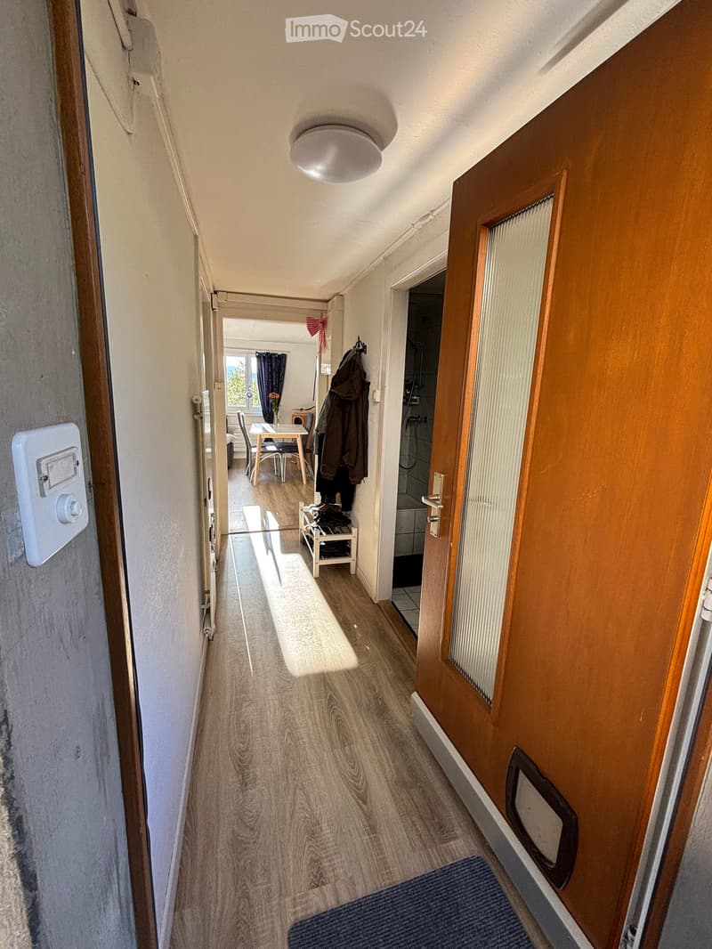 A narrow hallway with wooden flooring, white walls, and a ceiling light. Doors lead to a dining area and a bathroom, with a small shoe rack and coat hooks visible.