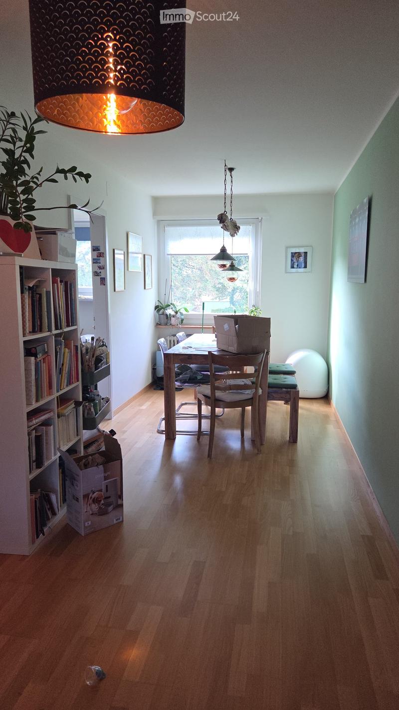 A well-lit hallway with wooden flooring, a hanging lamp, a table with chairs, a bookshelf, and a potted plant. There is also a stool and a large white ball in the corner.