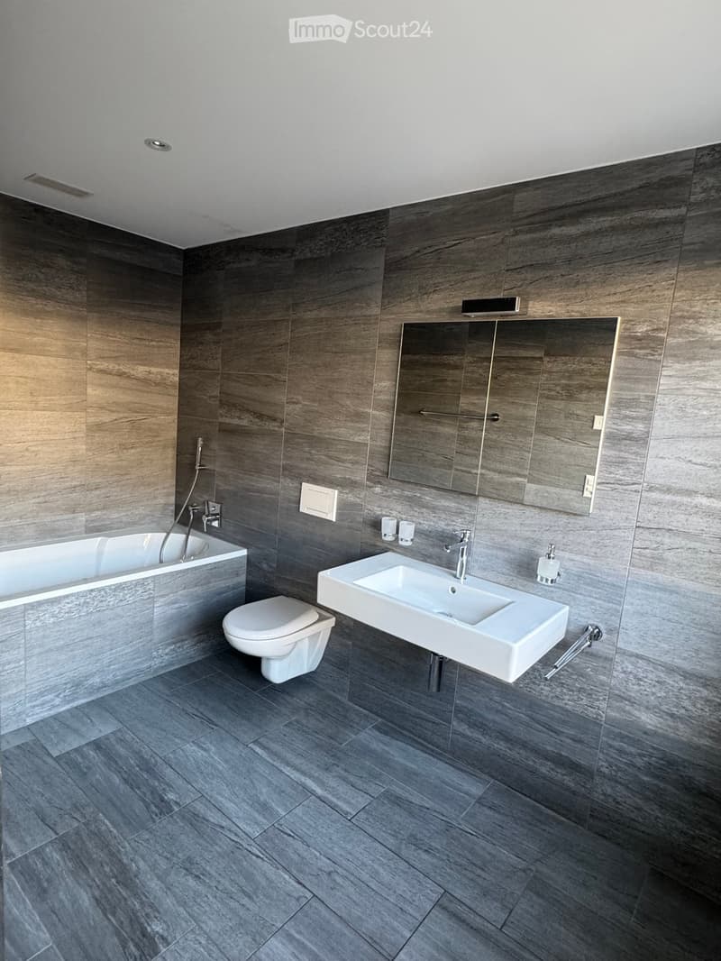 Modern bathroom with dark grey tiled walls and floor, featuring a bathtub, toilet, sink, and large mirror.