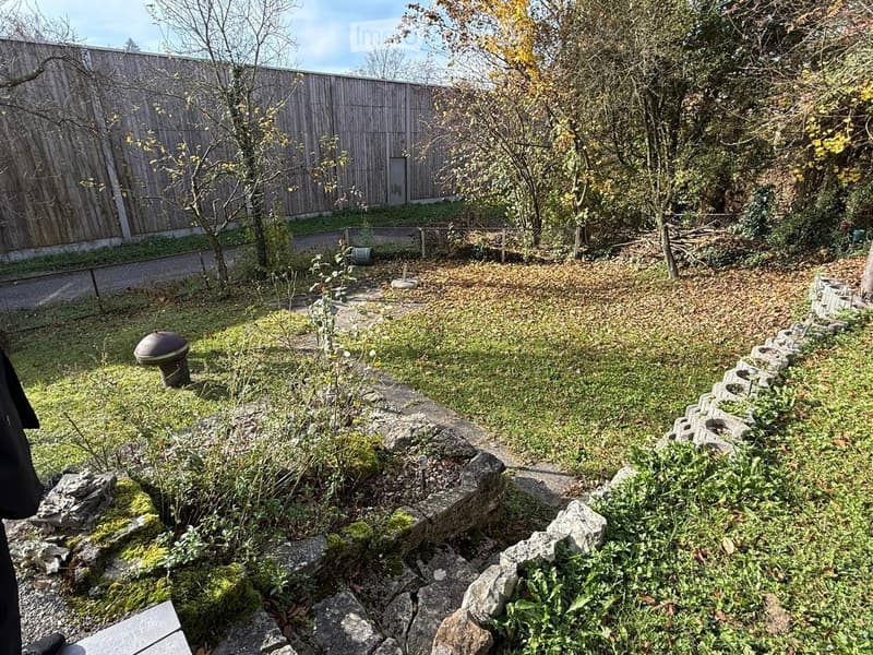 Garden area with grass, rocks, small trees, and a wooden fence in the background.