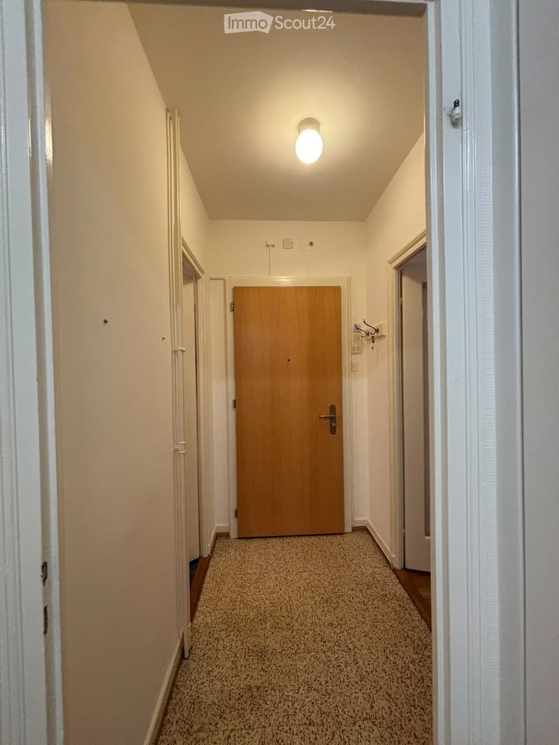 A narrow hallway with beige walls, carpeted floor, and a single wooden door at the end. The ceiling has a single light fixture, and there are white door frames on both sides.