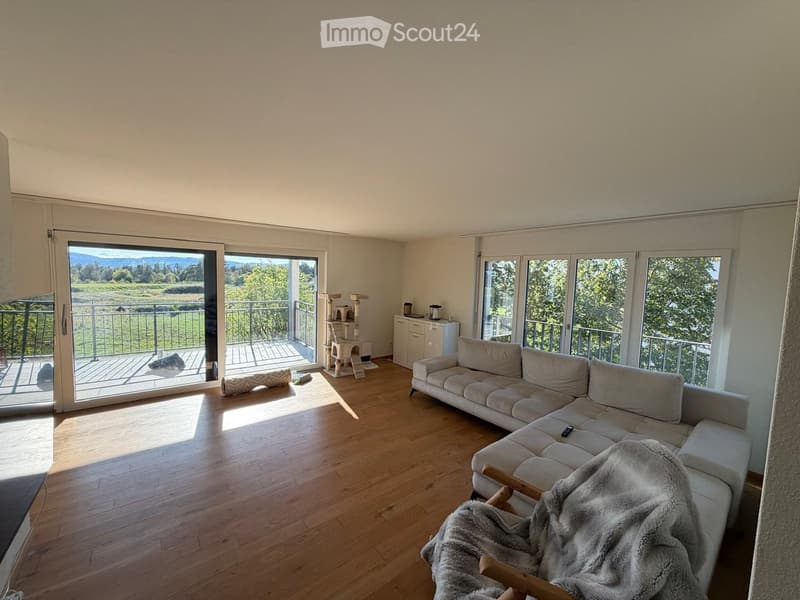 Bright living room with wooden flooring, large sliding glass doors opening to a balcony, a grey sectional sofa with a fur throw, a cat tree, and a small cabinet.