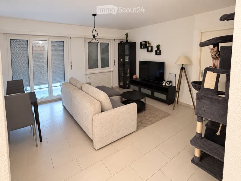 Modern living room with a grey sofa, coffee table, dining chair, cat tree, TV, bookshelf, and floor lamp. Large windows and sliding doors lead to a balcony.