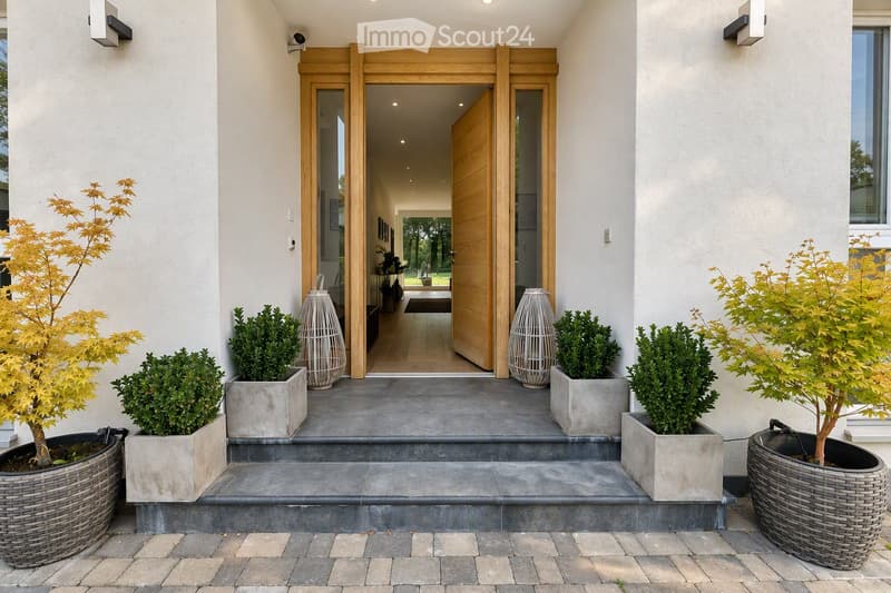 Modern house entrance with a raised ground floor, featuring a wooden door framed by light-colored wood, potted plants, and decorative wicker planters.