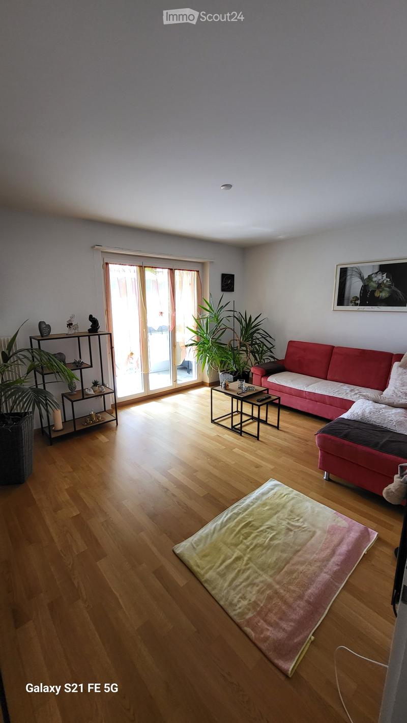 Bright living room with wooden flooring, large window with sliding doors, red sofa, small table, shelf with decorative items, and a colorful rug.