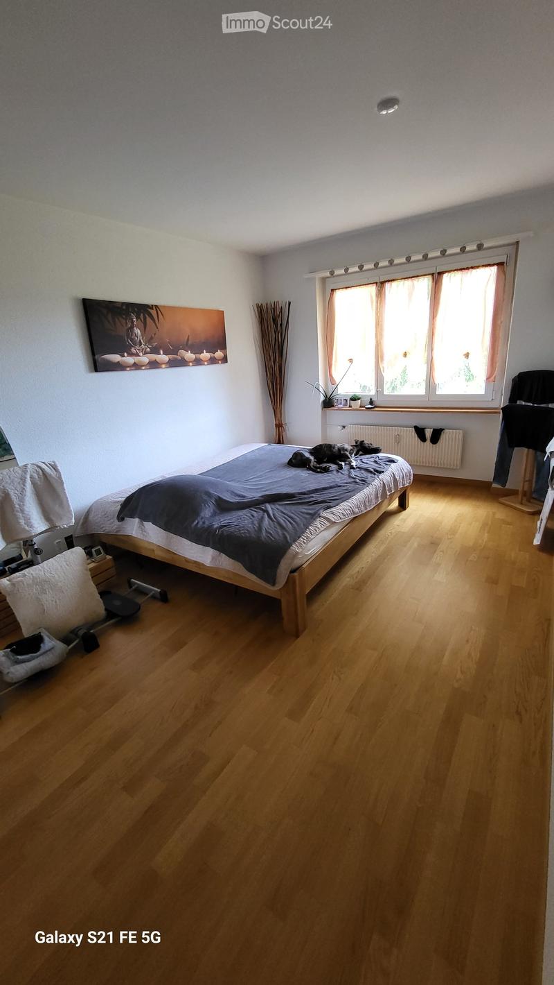 Bright bedroom with wooden flooring, a bed with dark bedding, a dog resting on it, a picture frame on the wall, a small plant on the windowsill, and a radiator below the window.