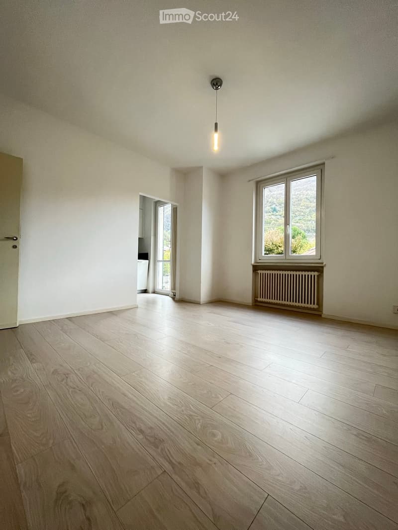 Empty room with light wooden flooring, white walls, a single window with a view, a radiator, and a hanging light fixture.