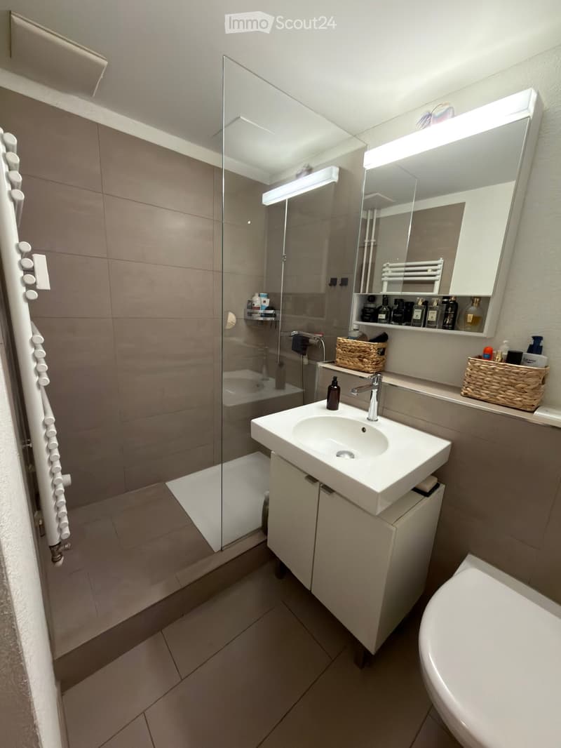 Modern bathroom with a white sink, mirror, toilet, and glass-enclosed shower. Includes a wicker basket on the counter and a cabinet under the sink.