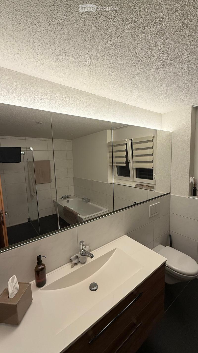 Modern bathroom with a large mirror, sink, toilet, bathtub, and towel visible. The sink has a sleek design with a modern faucet and a soap dispenser. A tissue box is placed on the counter.