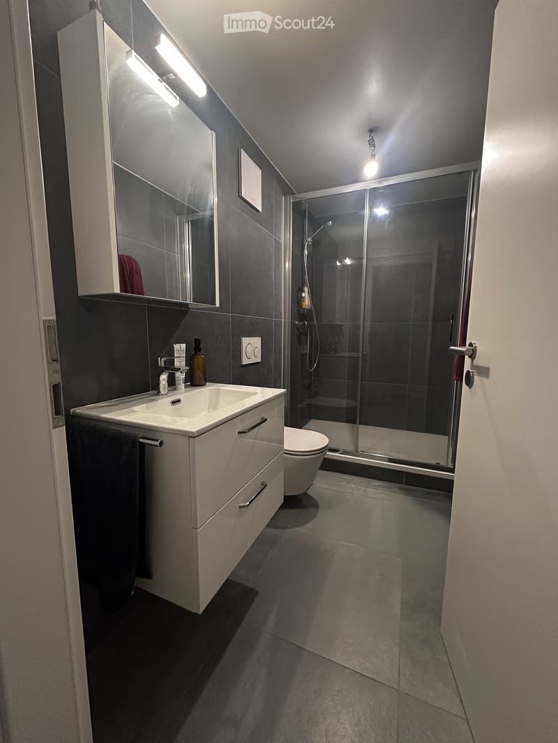 Modern bathroom with a white sink, mirrored cabinet, toilet, and glass-enclosed shower. Features dark grey tiles and sleek fixtures.