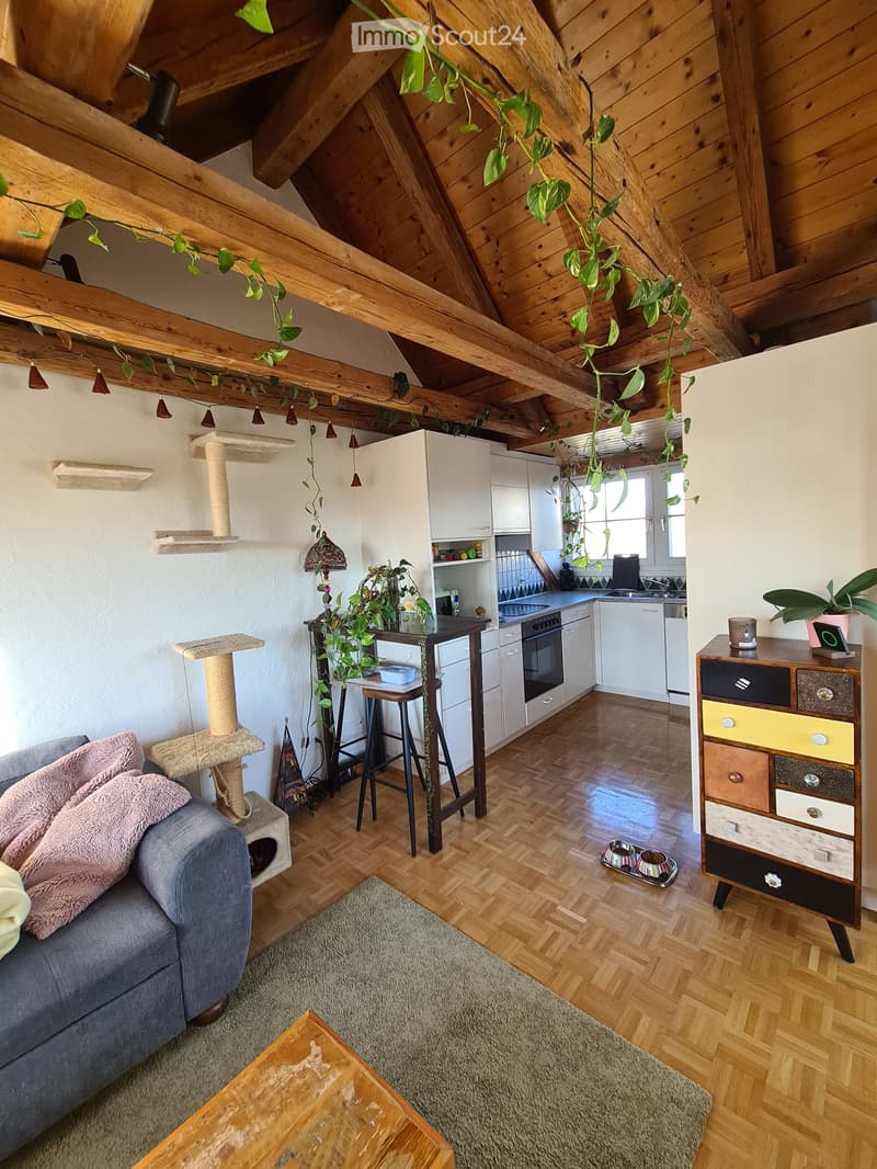 A cozy living space with a grey sofa, cat tree, small table, and kitchen area featuring white cabinets and an oven. The room has wooden flooring, exposed wooden beams, and hanging plants.