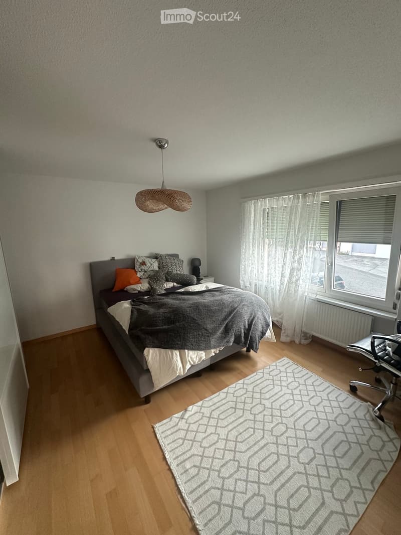 Modern bedroom with a grey bed, patterned pillows, a grey blanket, a white and grey rug, a hanging woven pendant light, and a small table lamp on a nightstand.