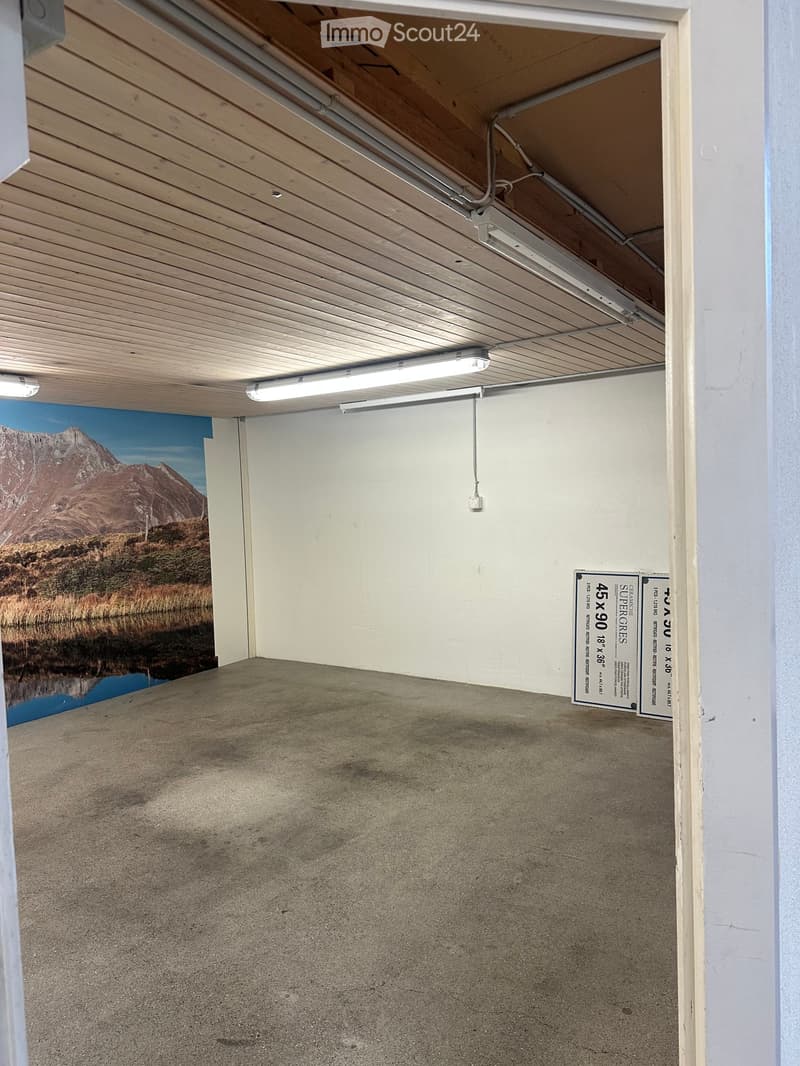 Empty garage space with concrete floor, white walls, and a mural of a mountain landscape on one wall. Fluorescent lighting is mounted on the ceiling.