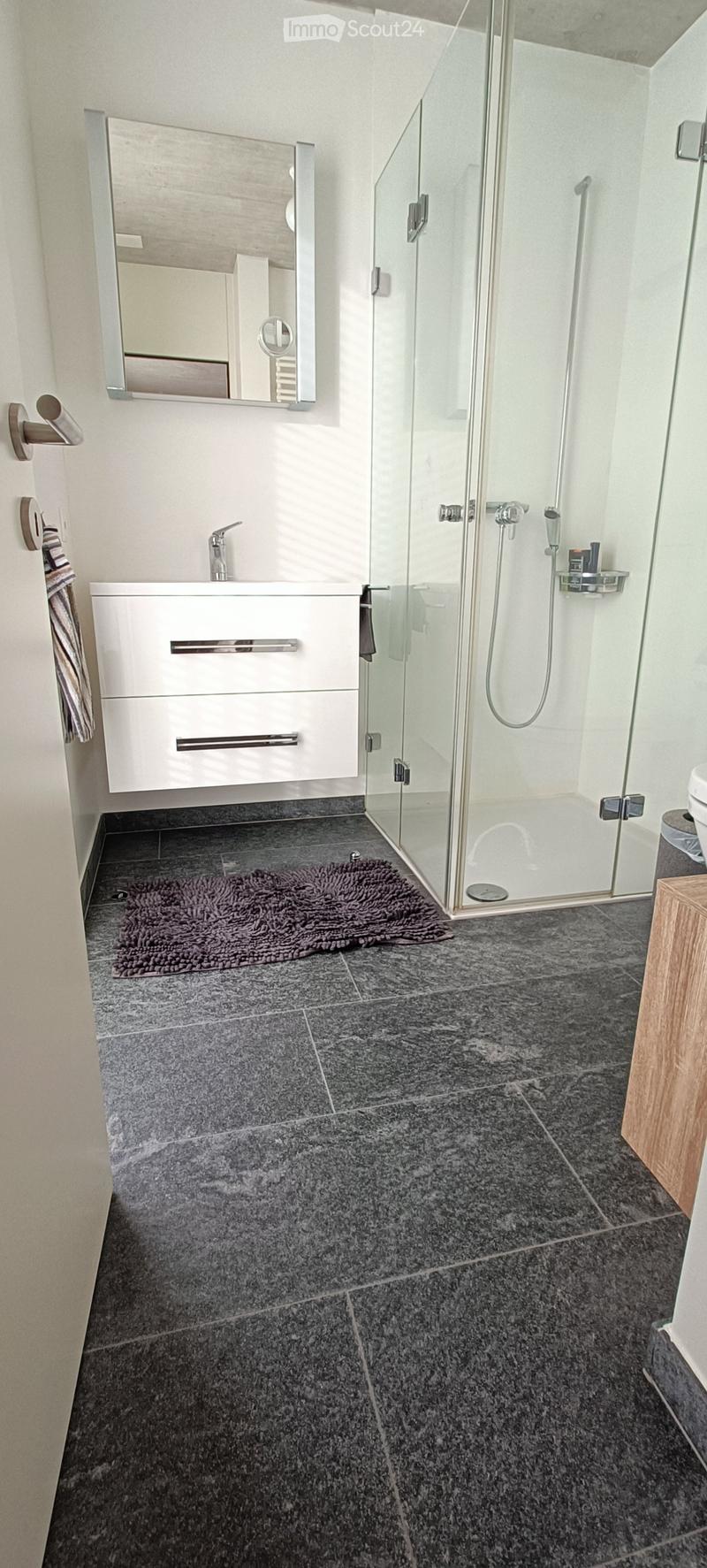 Modern bathroom with a white sink, mirror, glass-enclosed shower, and dark tiled floor.
