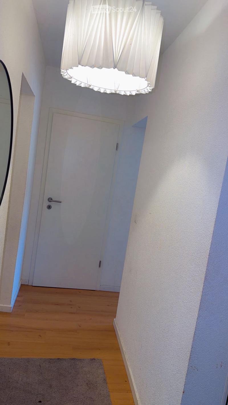 A narrow hallway with wooden flooring, white walls, and a closed door at the end. A small rug is placed near the entrance, and a decorative light fixture hangs from the ceiling.