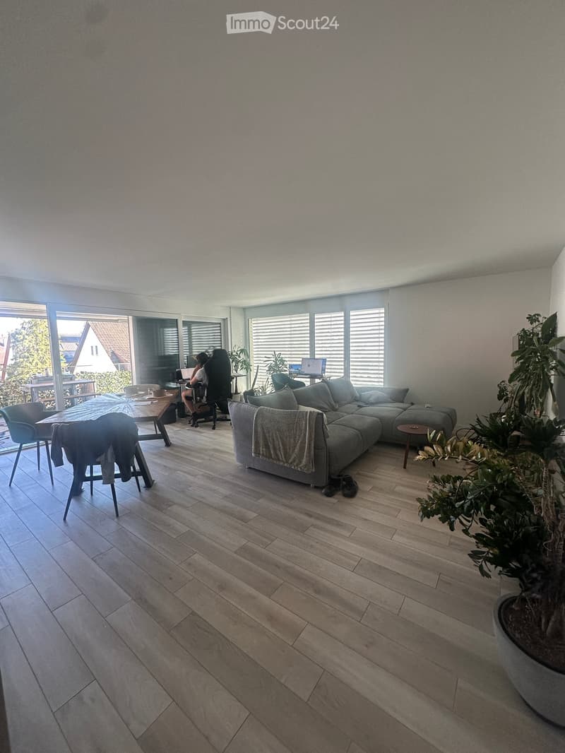 Modern living room with light wooden flooring, large windows, grey sectional sofa, coffee table, and a small plant in the corner.