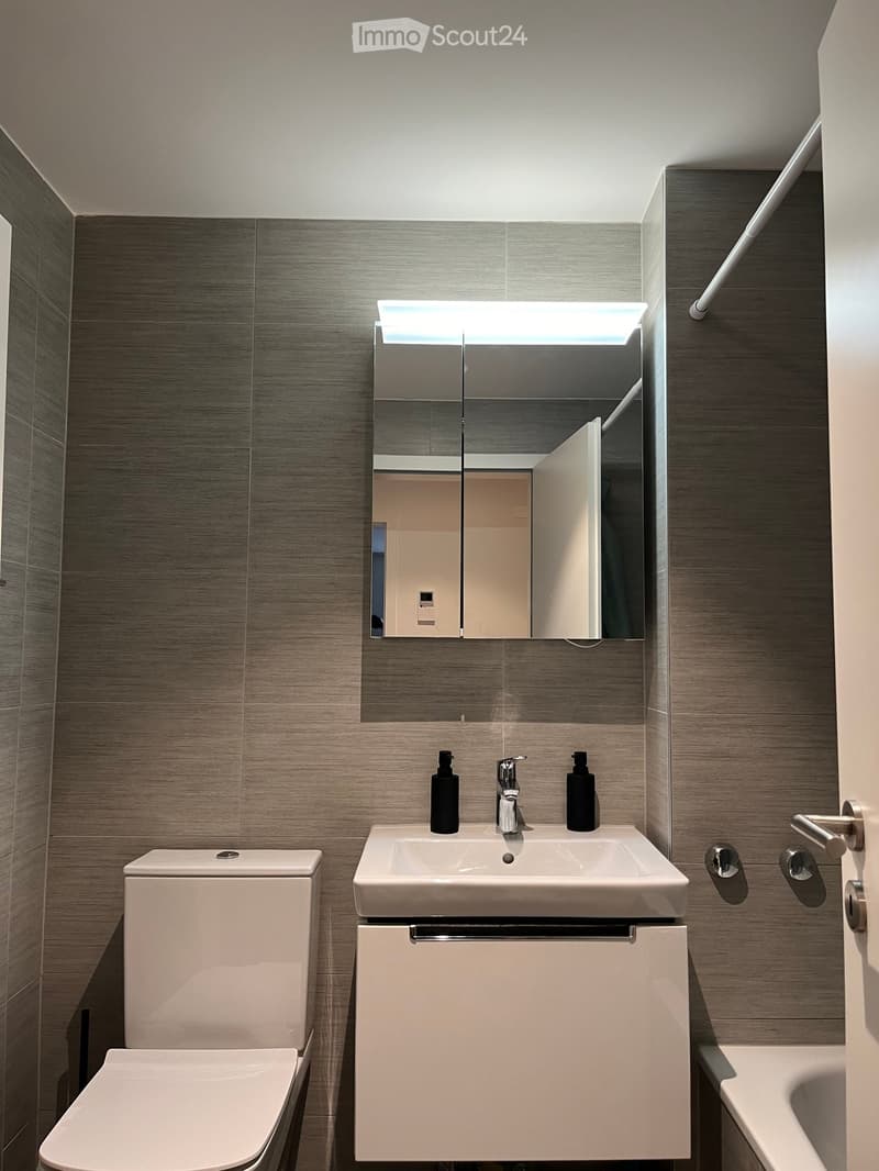 Modern bathroom with a sleek double sink, mirrored cabinet, toilet, and built-in storage cabinet.