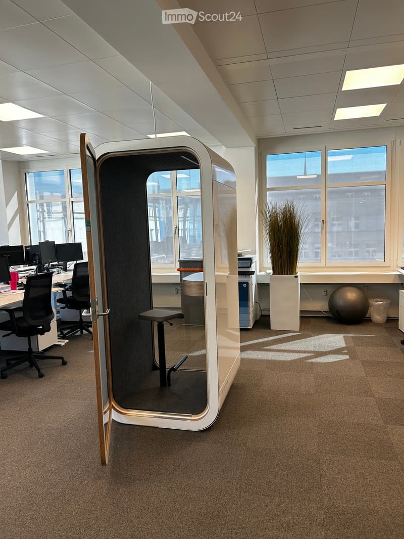 Modern office space with a white partition, chairs, a stool, screens, a table, a large plant, and a fitness ball.