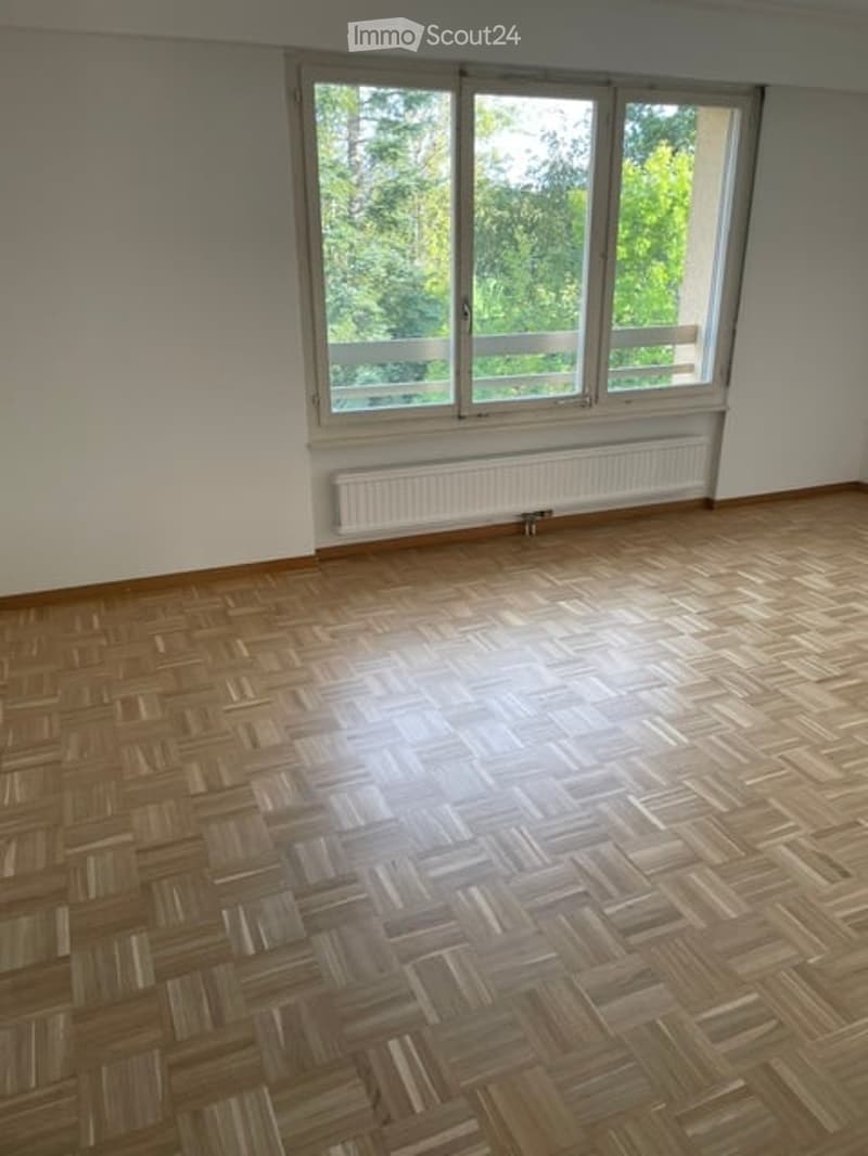 Empty room with wooden parquet flooring, white walls, large windows with a view of greenery, and a radiator below the windows.