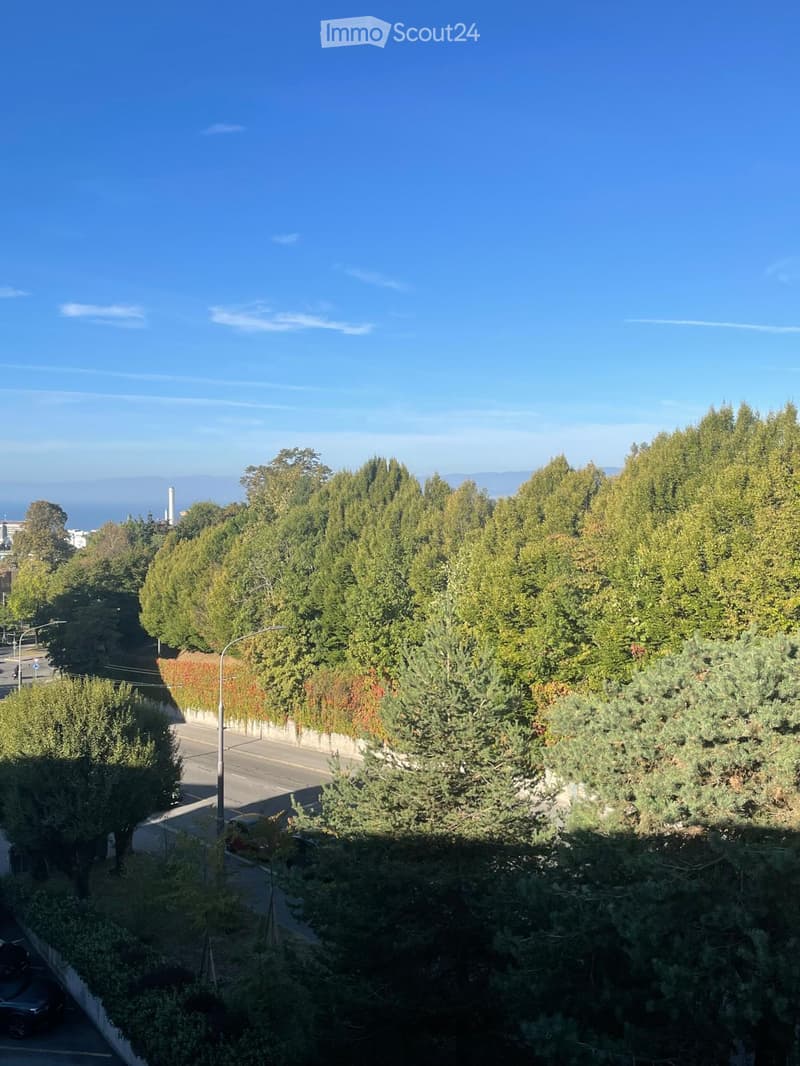 A lush, green garden area with tall trees and shrubs, overlooking a road and distant cityscape under a clear blue sky.