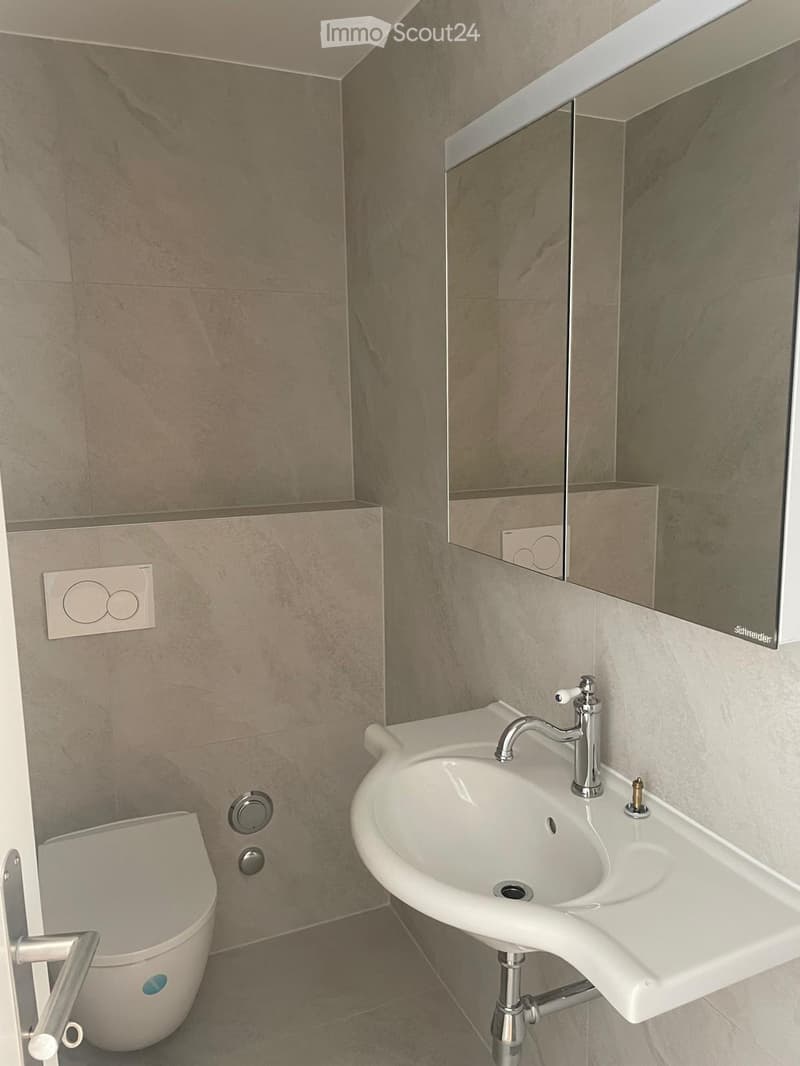 Modern bathroom with a white sink, chrome faucet, and toilet. The walls are tiled in a marble-like pattern, and there is a large mirror above the sink.
