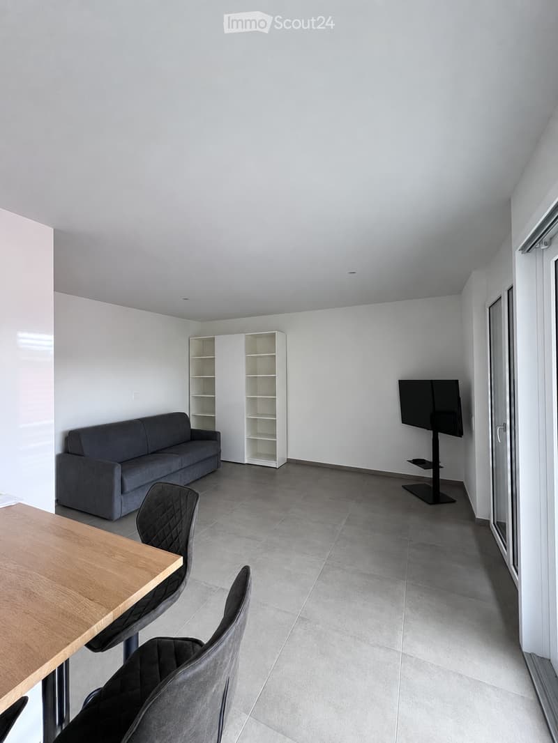 Modern living room with grey sofa, wooden table, chairs, shelves, and a TV on a stand.