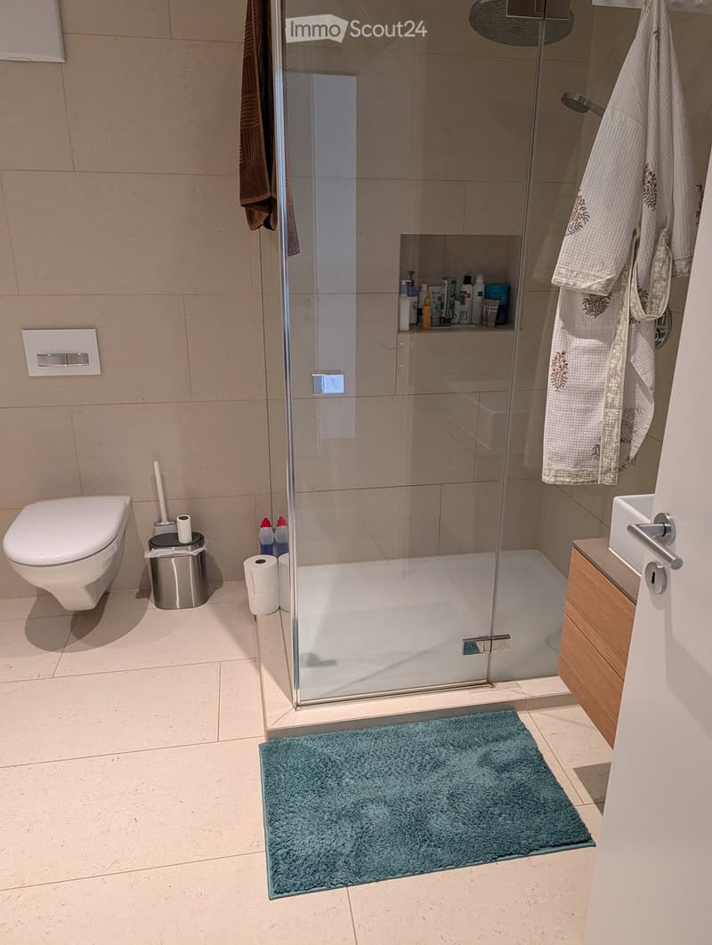 Modern bathroom with a glass-enclosed shower, toilet, sink, and wooden cabinet. Includes a blue bath mat, towels, and toiletries.