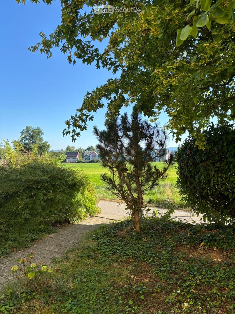A pathway lined with trees and greenery leads to a grassy field with houses in the background under a clear blue sky.